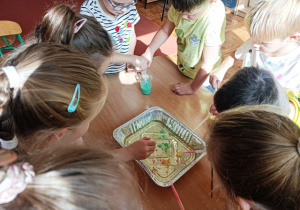 Dzieci stoją wokół stolika i zakraplają kolorowe mleko do kuwety z olejem