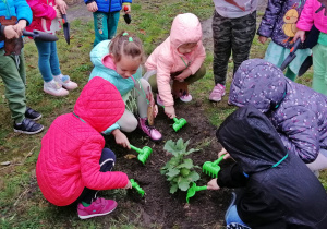 Dzieci grabią ziemię wokół drzewa