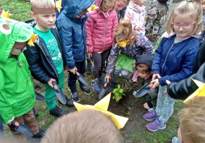 Dzieci zakopują drzewo