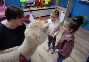 Spotkanie dzieci z alpakami