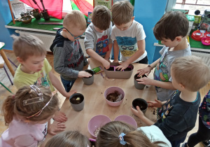 Dzieci sadzą sadzonki cebuli