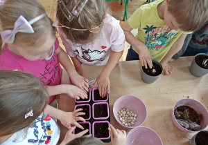 Dzieci przygotowują sadzonki do podlania wodą