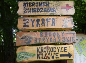 Wycieczka do ZOO Safari w Borysewie