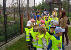 Przedszkolaki przechodzą obok klatek z papugami