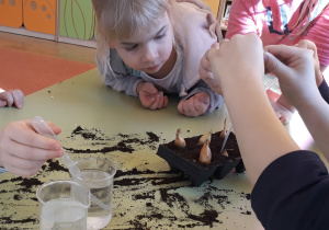 Dzieci podlewają cebulki