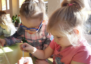 Dziewczynki podlewają zasadzone cebulki