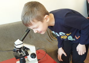 Chłopiec obserwuje przez mikroskop grudki ziemi