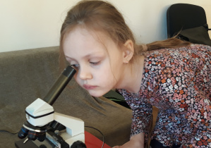 Dziewczynka obserwuje przez mikroskop grudki ziemi