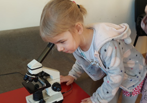 Dziewczynka prowadzi obserwację przez mikroskop