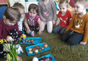 Dzieci zakładają hodowlę cebulek