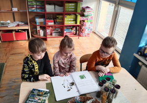 Dzieci oglądają w albumie zasuszone zioła
