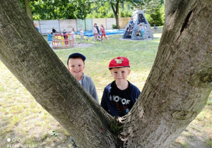 Chłopcy zerkają zza drzewa.