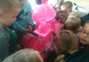 Dzieci obserwują chomika w akwarium