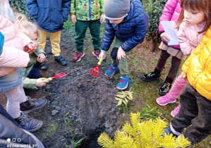 Dzieci zasypują korzenie sadzonki