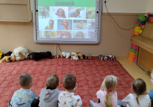 Dzieci oglądają prezentacją o jamniku