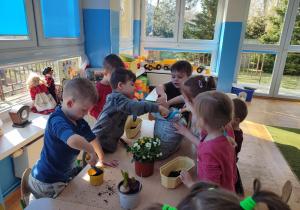 Dzieci sadzą sadzonki