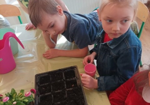 Dzieci wysiewaja nasiona
