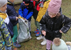 Dzieci sprawdzają jakość ziemi