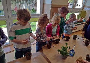 Dzieci wysiewają nasiona