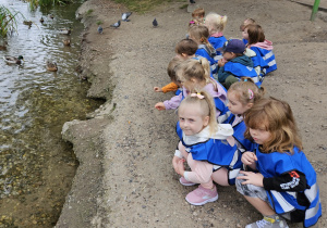 Dzieci obserwują kaczki w parku