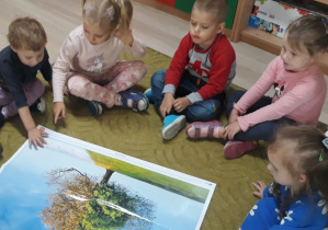 Dzieci siedzą na dywanie oglądając ilustrację drzewa