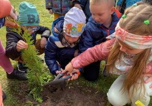 Dzieci zakopują drzewko