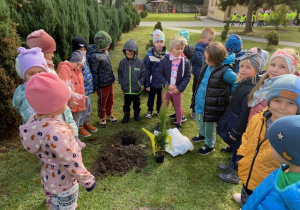 Dzieci przygotowują się do sadzenia drzewka