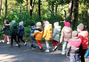 Dzieci maszerują w parach leśną droga