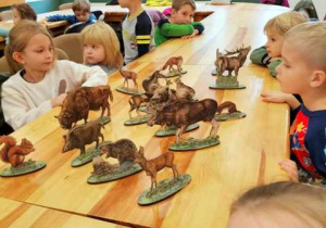Dzieci oglądają figurki leśnych zwierząt