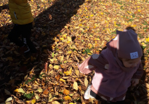 Dzieci bawią się liśćmi w ogrodzie przedszkolnym