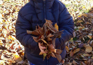 Chłopiec trzyma liście