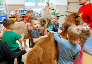 Dzieci przytulają lamy