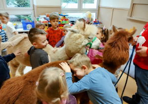 Dzieci przytulają lamy