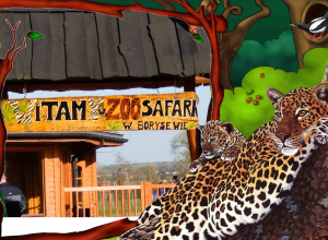 Wycieczka do ZOO Safari w Borysewie