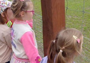 Dzieci zwiedzają ZOO Safari w Borysewie