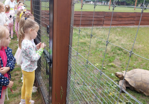 Dzieci zwiedzają ZOO Safari w Borysewie