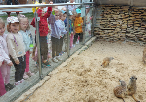 Dzieci zwiedzają ZOO Safari w Borysewie