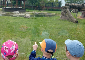 Dzieci zwiedzają ZOO Safari w Borysewie