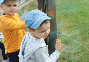 Dzieci zwiedzają ZOO Safari w Borysewie