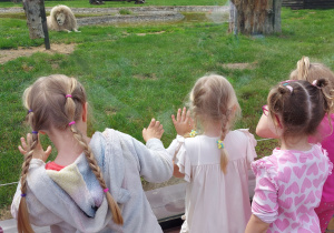 Dzieci zwiedzają ZOO Safari w Borysewie