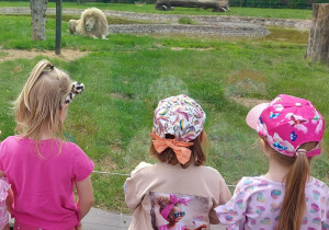 Dzieci zwiedzają ZOO Safari w Borysewie