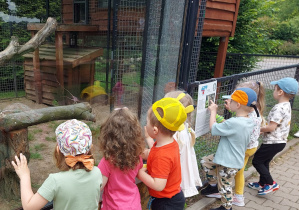 Dzieci zwiedzają ZOO Safari w Borysewie