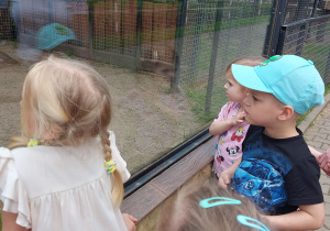Dzieci zwiedzają ZOO Safari w Borysewie