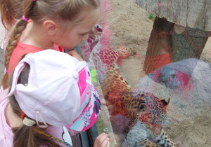 Dzieci zwiedzają ZOO Safari w Borysewie