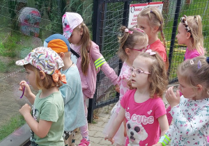 Dzieci zwiedzają ZOO Safari w Borysewie