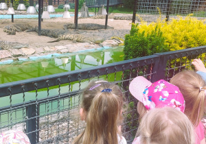 Dzieci zwiedzają ZOO Safari w Borysewie