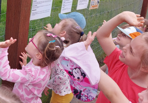 Dzieci zwiedzają ZOO Safari w Borysewie