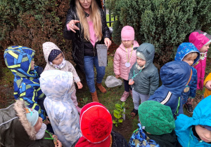 Dzieci posadziły drzewko