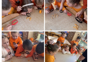 Dzieci za pomocą lup obserwują pestki dyni