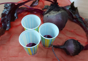 Zakwas zrobiony przez dzieci w kubeczkach